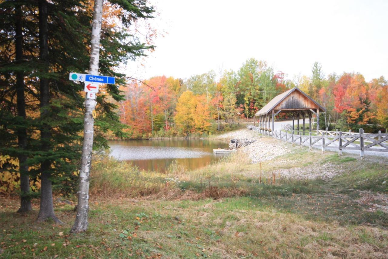 Mont-blanc 2 - Direct Access To Hiking, & Pool At Mont-blanc * Saint-Faustin–Lac-Carré